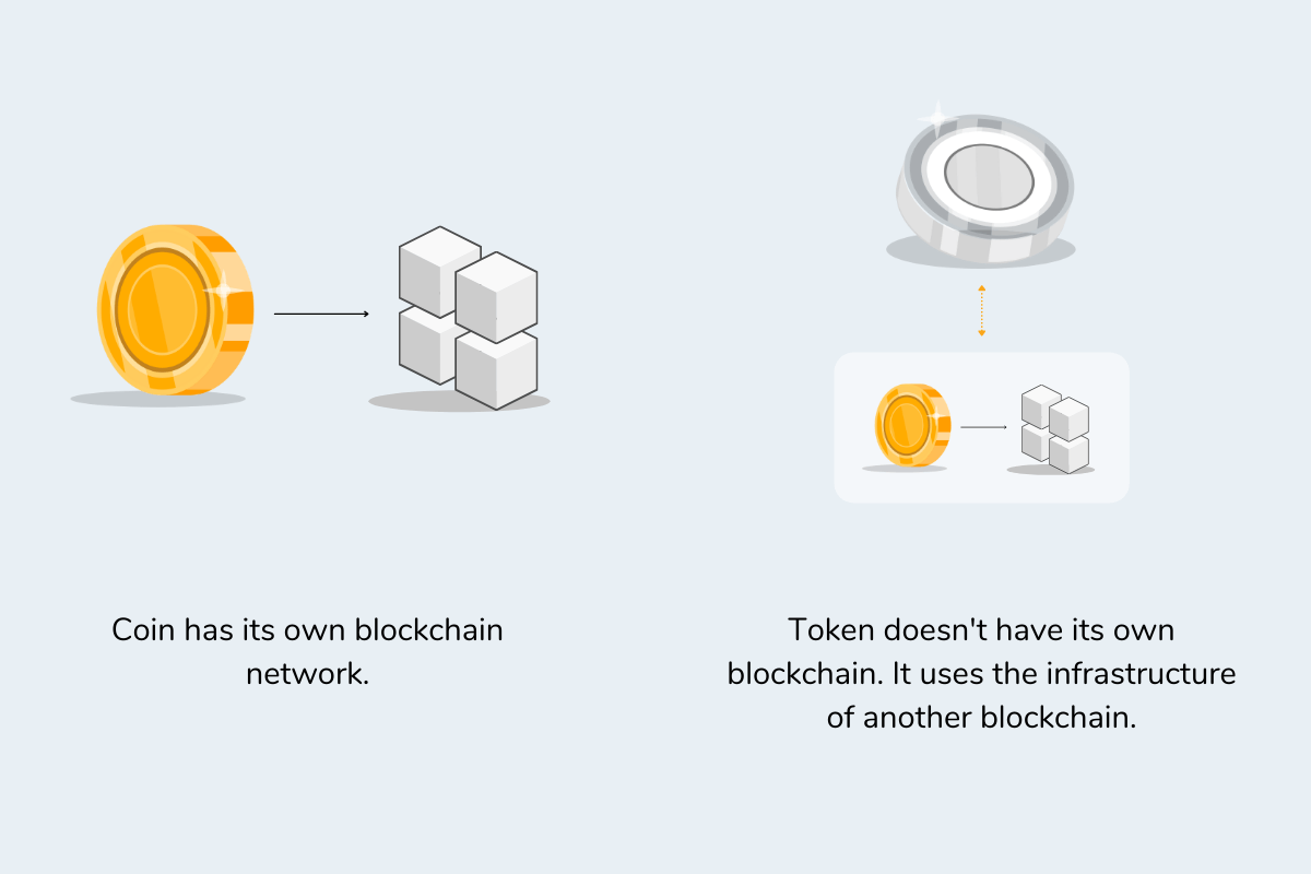 The infographic that shows the difference between a crypto coin and a crypto token.